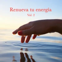 Renueva tu energía Vol. 2