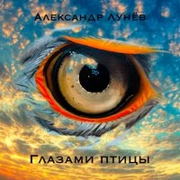 Глазами птицы