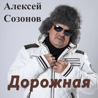 Дорожная
