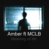Meaning Of Life