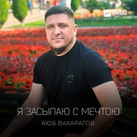 Я засыпаю с мечтою