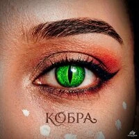 Кобра