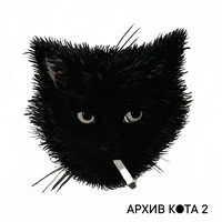 Архив Кота 2