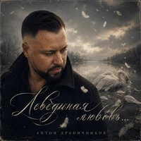 Лебединая любовь