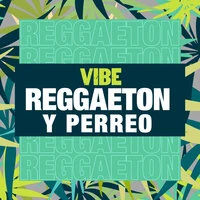 Vibe Reggaeton y Perreo