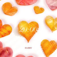 20:00