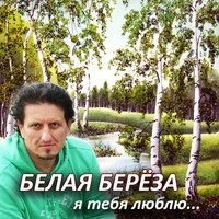 Белая береза