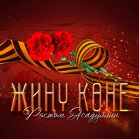 Жину коне