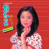 Back to Black Yan Hong Xiao Qu Deng Li Jun