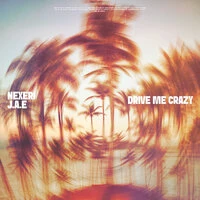Drive Me Crazy