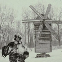 Богородские Голуби
