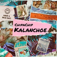 KALANCHOE