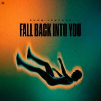 Fall Back Into You