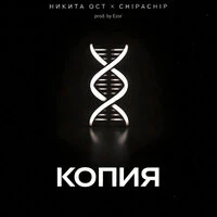 Копия