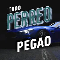 Todo Perreo Pegao