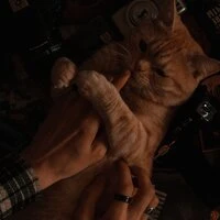 почему люди грустят