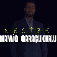 Necibe