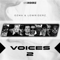 Voices 2