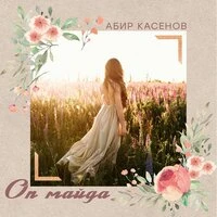 Оп Майда