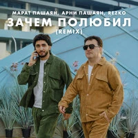Зачем полюбил (Remix)