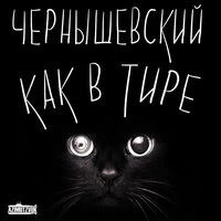 Как в тире