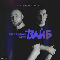 Не Убивай Мой Вайб