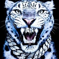 WHITE TIGER