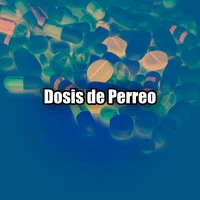Dosis de Perreo