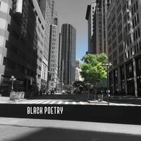 Black Poetry