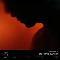 In the Dark