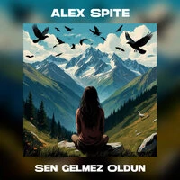 Sen Gelmez Oldun
