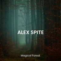 Magical Forest