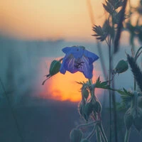 Day Is Over