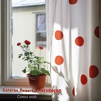 Сокол мой