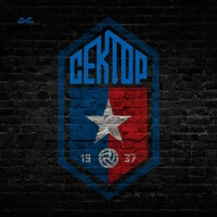 Сектор