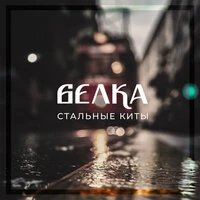Стальные Киты