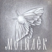 Мотылёк