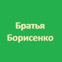 Братья Борисенко