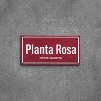 Planta Rosa
