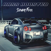 Silver Foxx