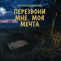Перезвони мне, моя мечта