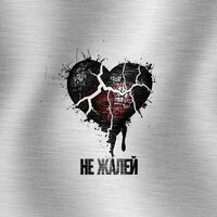 Не жалей