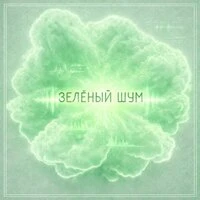 ЗЕЛЁНЫЙ ШУМ