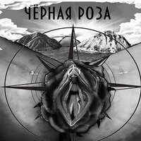 Чёрная роза