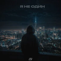 Я не один