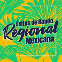 Exitos de Banda y Regional Mexicana