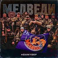 Медведи