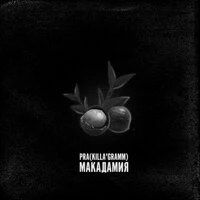 Макадамия