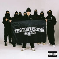 TESTOSTERONE FLOW