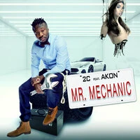 Mr. Mechanic